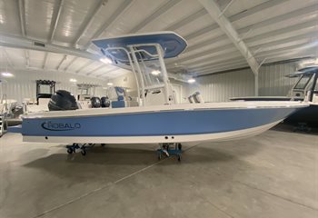 2024 Robalo 226 Cayman Steel Blue Boat